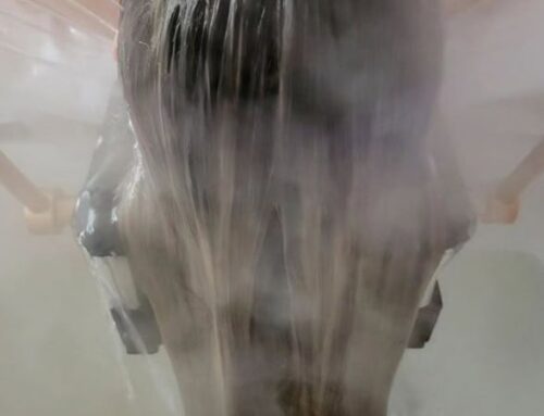 Wat is een Head Spa Treatment